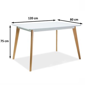 Дерев'яні столи фото Стильний стіл для кухні SIGNAL Declan I 120х80 Білий розкладний у стилі модерн Польща - artos.in.ua