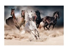 фото Стеклянная картина HORSES SIGNAL Картина - artos.in.ua