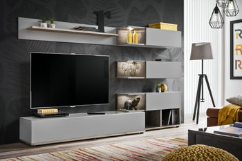 Комплект мебели в гостиную ASM ABW Silk 28 DWPG SK Жемчужно-серый/Дуб Веллингтон из Польши