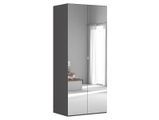 Шкаф BRW Flex 100 с 2 дверями &mdash; графит, с зеркалом фото - artos.in.ua