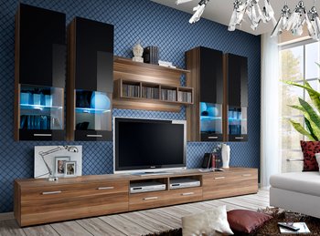 Комплект мебели в гостиную ASM Dorade 20 NS DO Сливовый матовый/Сливовый матовый/Черный глянцевый из Польши