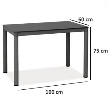 Кухонный маленький стол на ножках GALANT 100x60 SIGNAL серый Польша