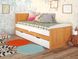 Раскладная кровать в детскую комнату Компакт ARBOR DREV Ольха