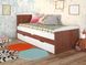 Раскладная кровать в детскую комнату Компакт ARBOR DREV Яблоня Локарно
