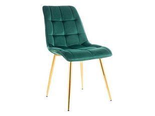 Стілець BRW Chic Velvet SIG / KRZ_CHIC-VELVET_STEL-ZLOTY / ZIELONY-BLUVEL78, фото - artos.in.ua