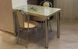 Кухонний стіл з малюнком DAMAR II 100x60 SIGNAL кремовий Польща